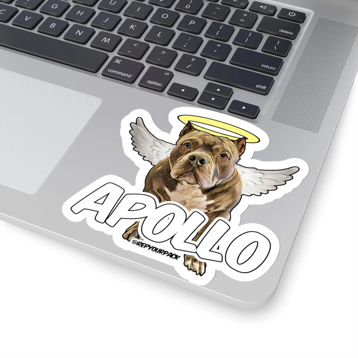 Apollo Angel Wings 2 Stickers