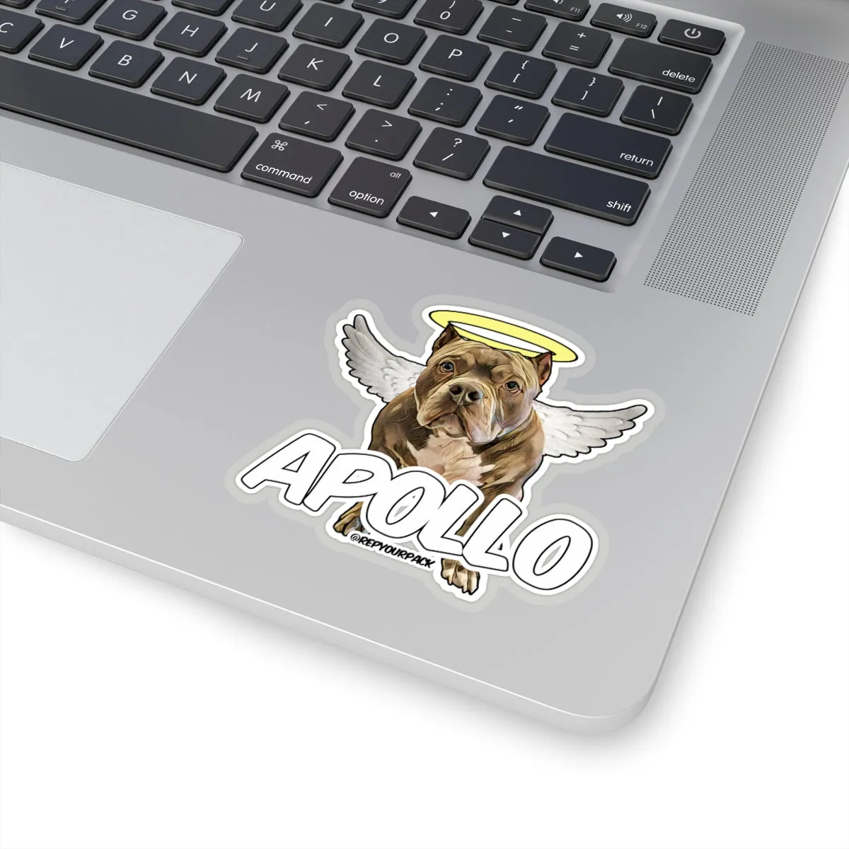 Apollo Angel Wings 2 Stickers