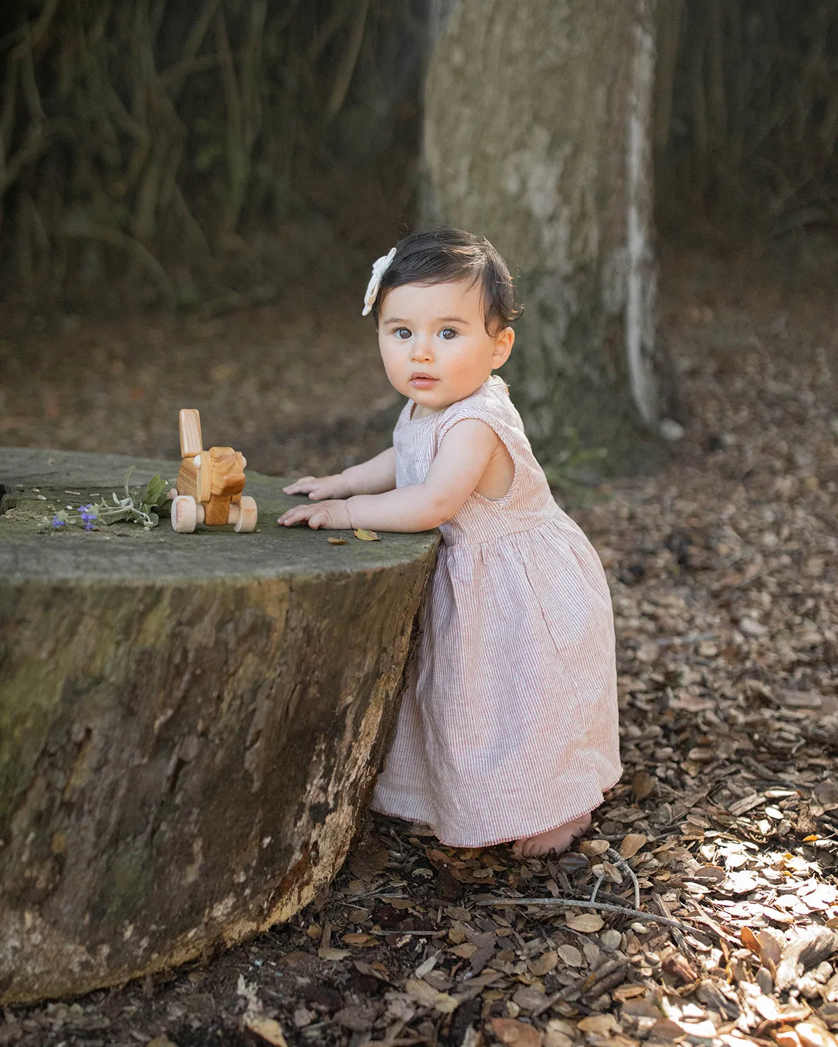 Baby Sleeveless Prairie Dress