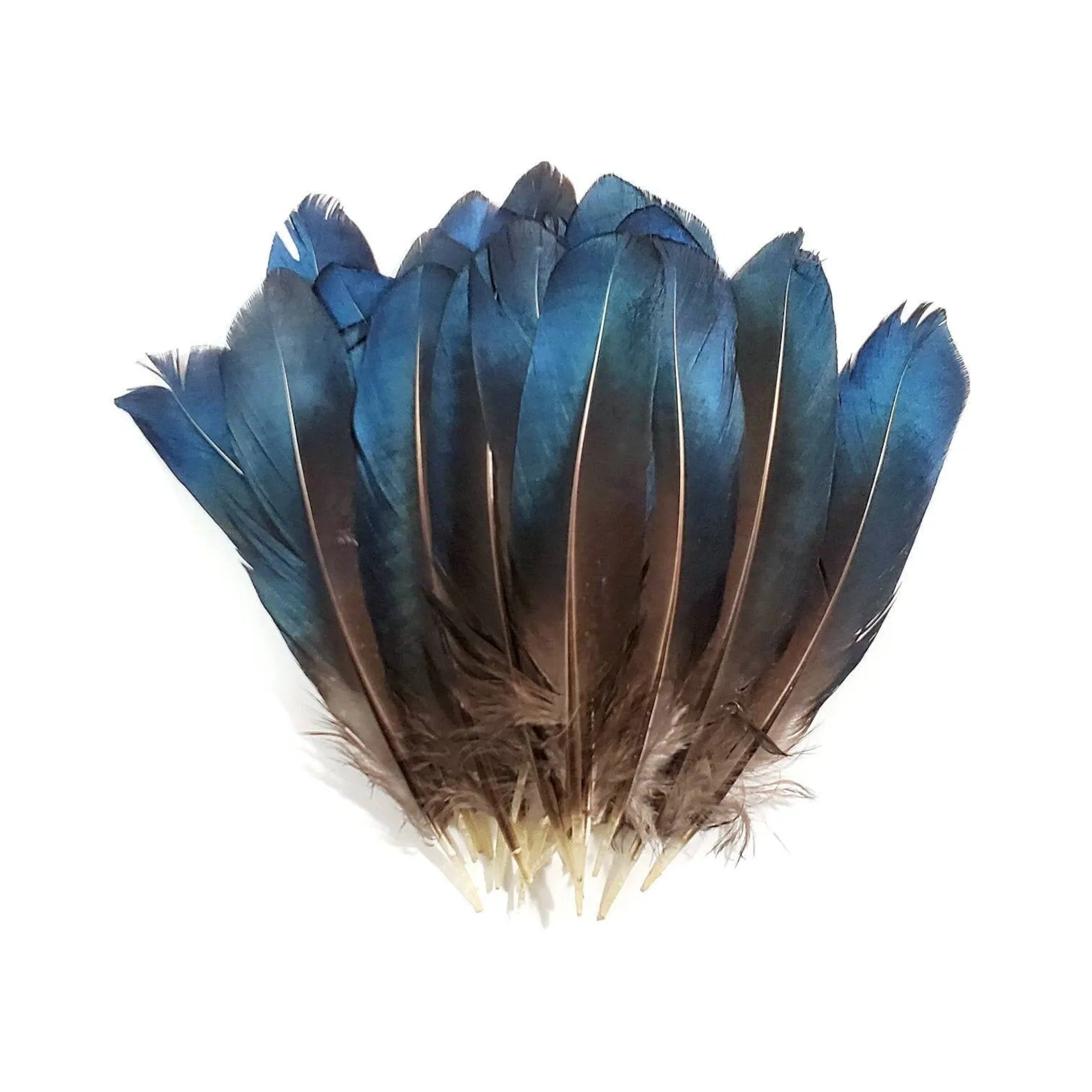 Feather 4