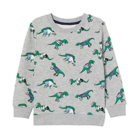 Green Dinosaur Patterned Sweat Shirt,Gray