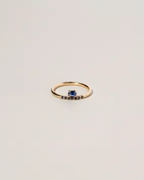 Stacked Ring - Sapphire & Black Diamond